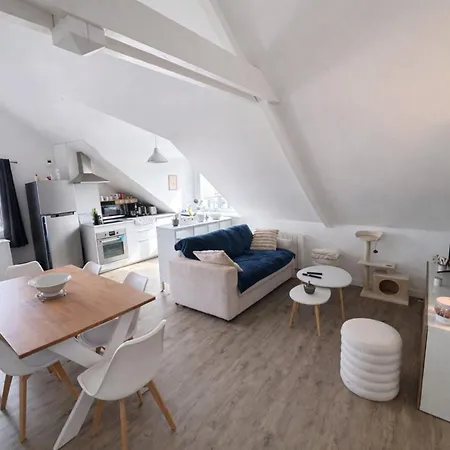 With Garden And Parking Apartment